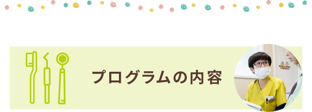 プログラムの内容