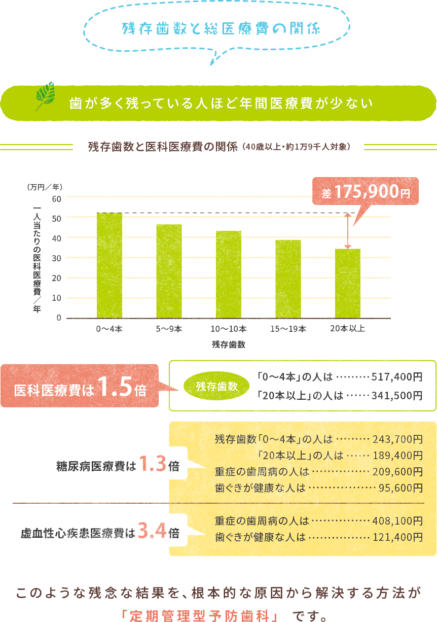 残存歯数と総医療費の関係